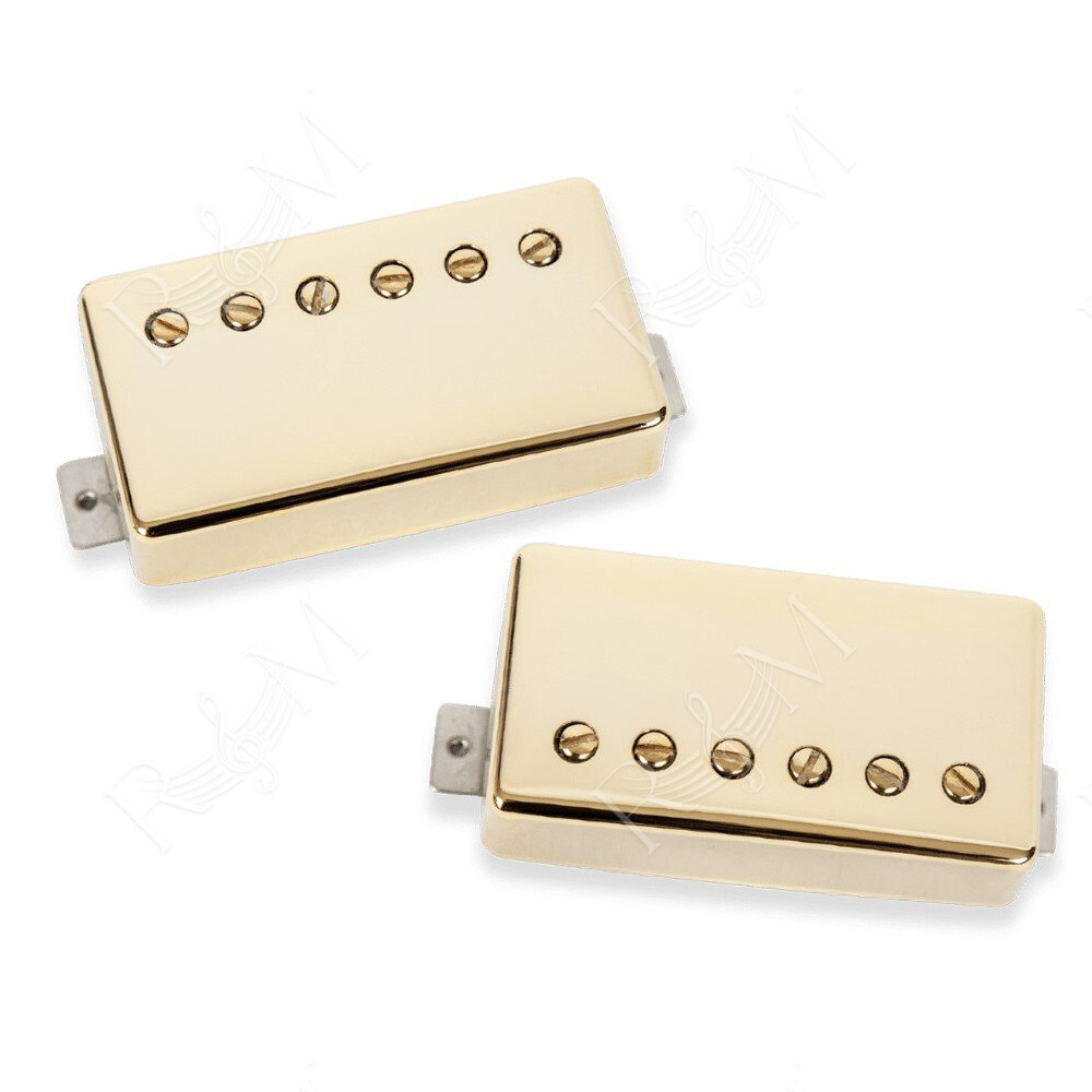 SET SLASH 2.0 GLD