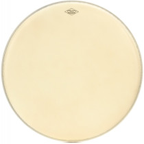 MOTC-M22