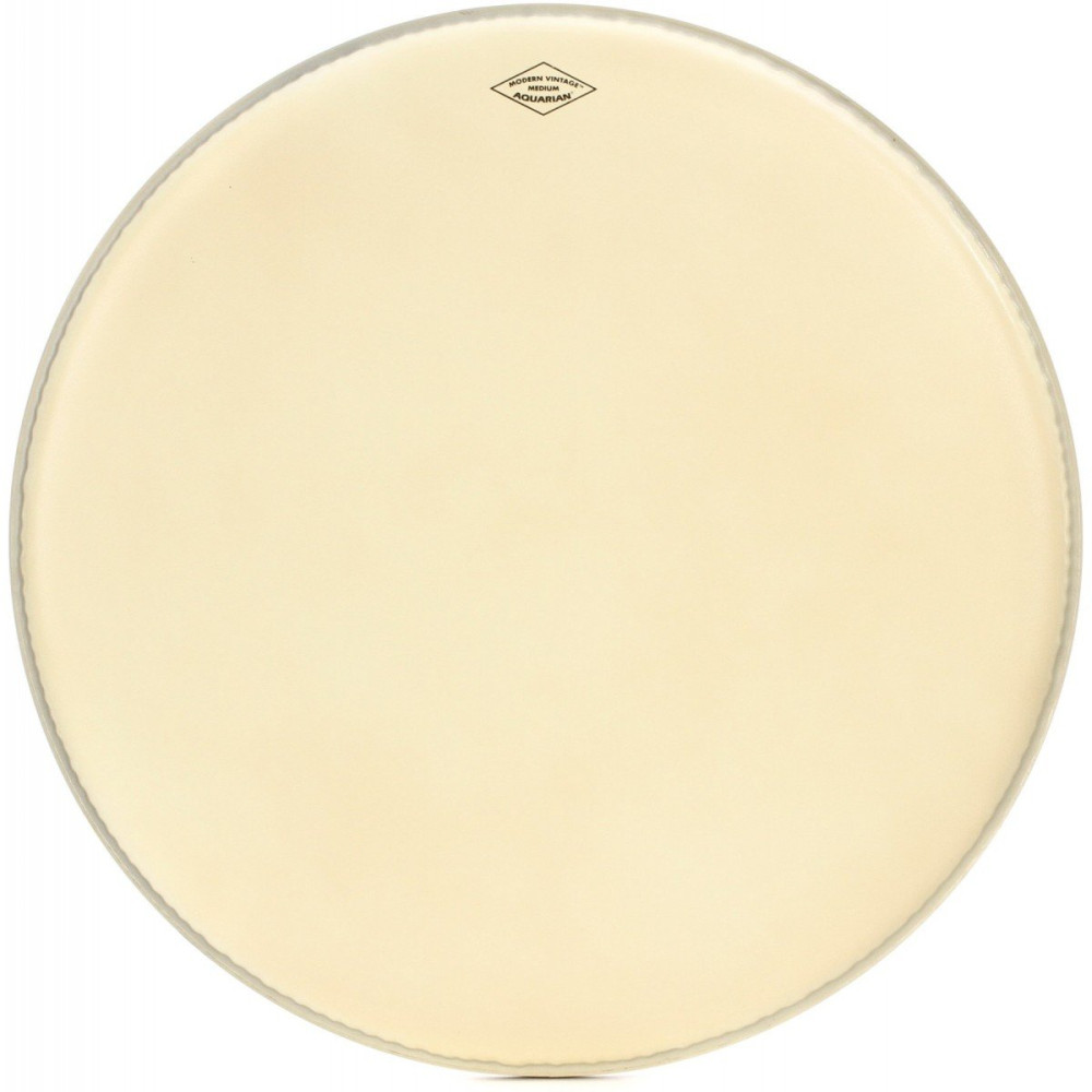 MOTC-M22
