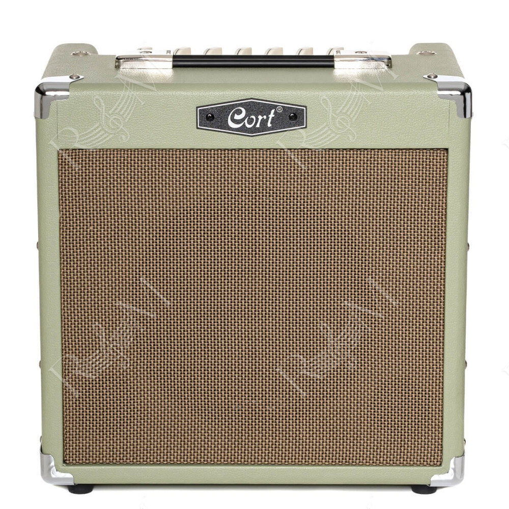 CM15R PG ELECTRIC AMP
