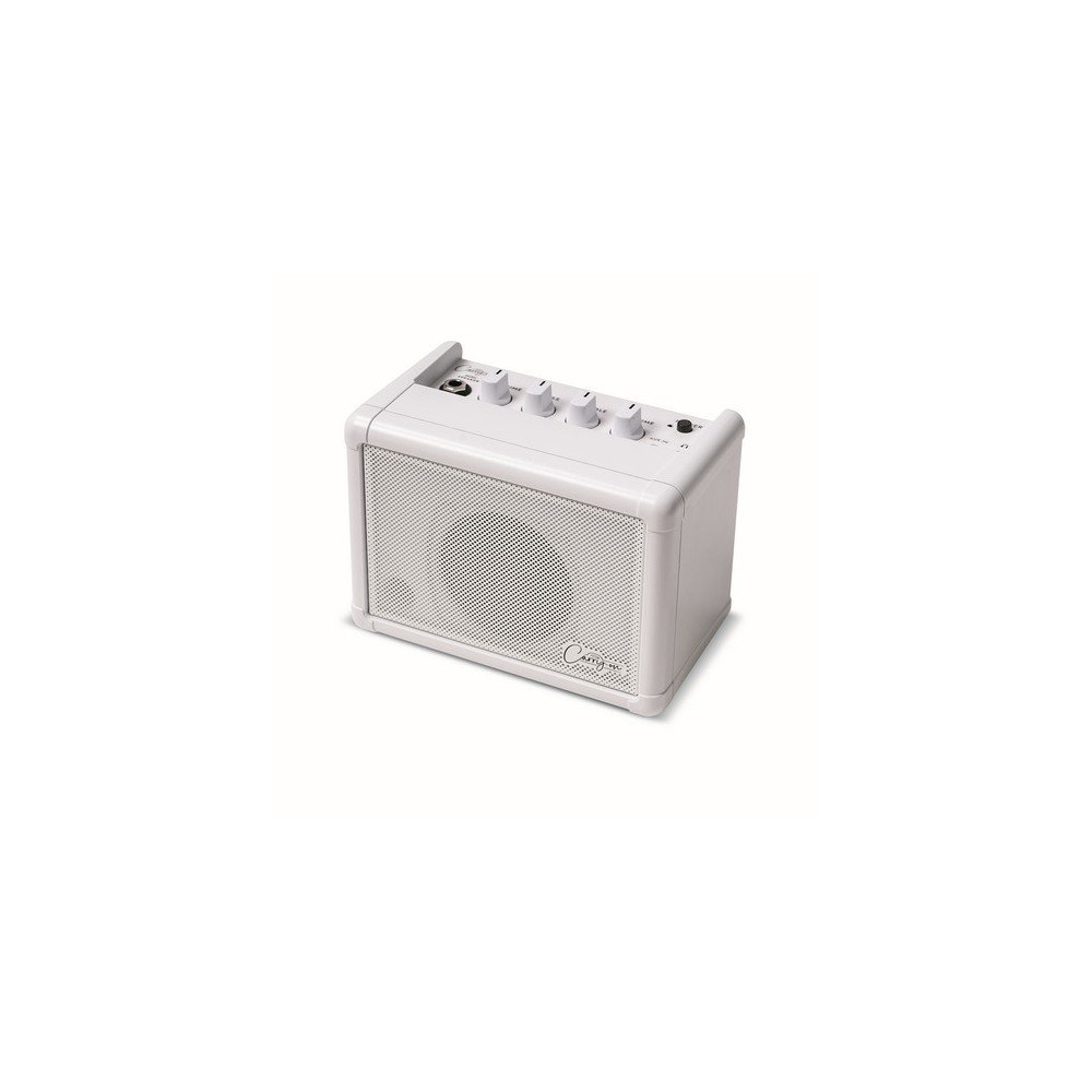 CO-SPEAKER - MINI SPEAKER