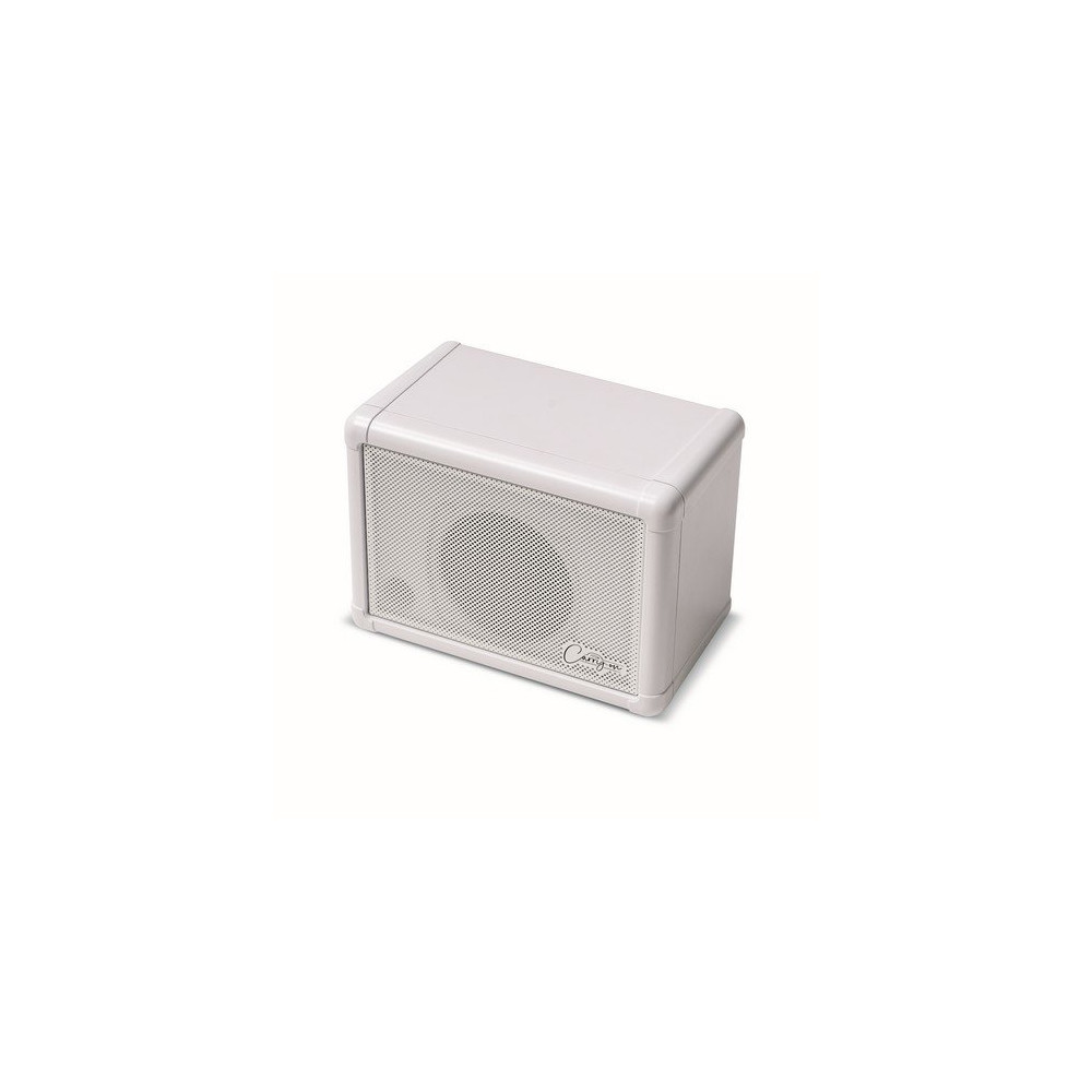CO-SPEAKER-EXT - MINI EXTENSION SPEAKER