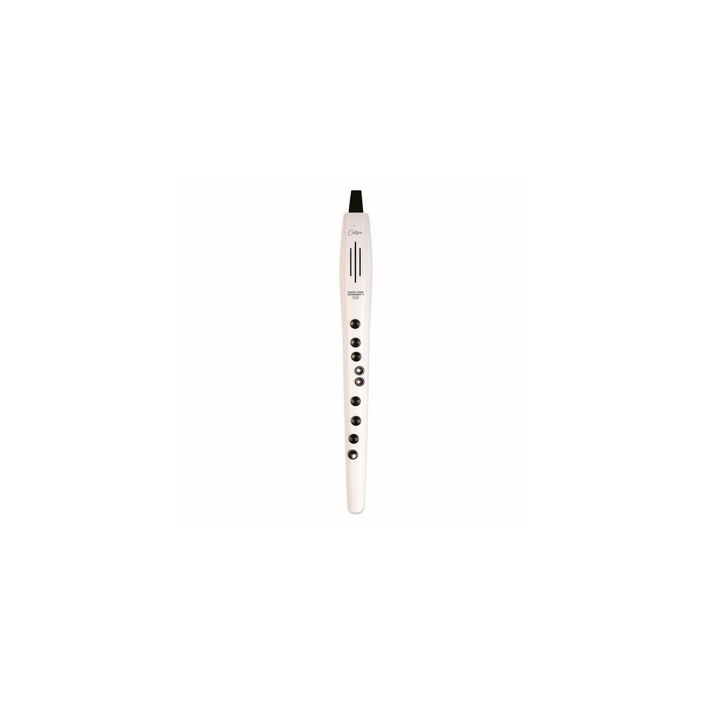 CO-DWI2PLUS-WT - DIGITAL WIND INSTRUMENT PLUS - BIANCO