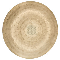 WGFOL12