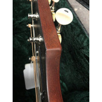 F-40 ATB ANTIQUE BURST SATIN