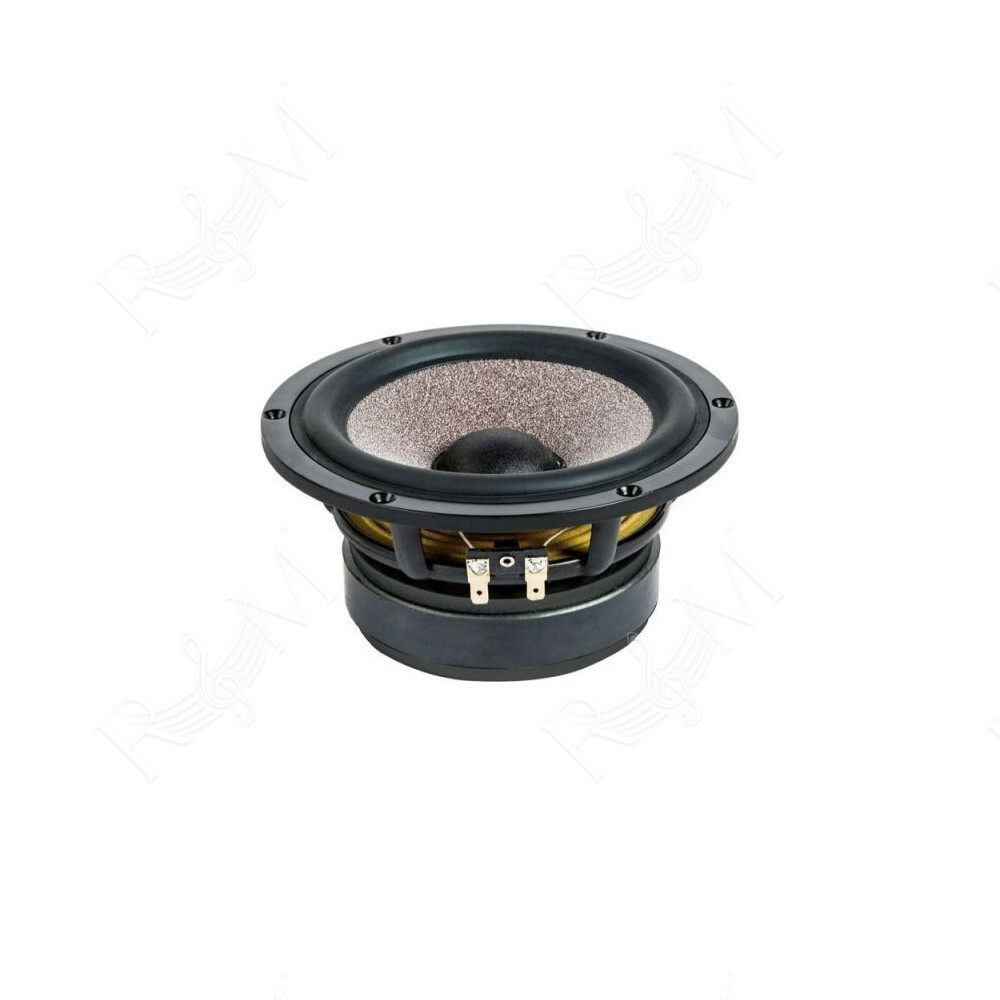 Ciare HWG160-4 Woofer 6,5" 4 Ohm 130W RMS | Altoparlante Hi-Fi
