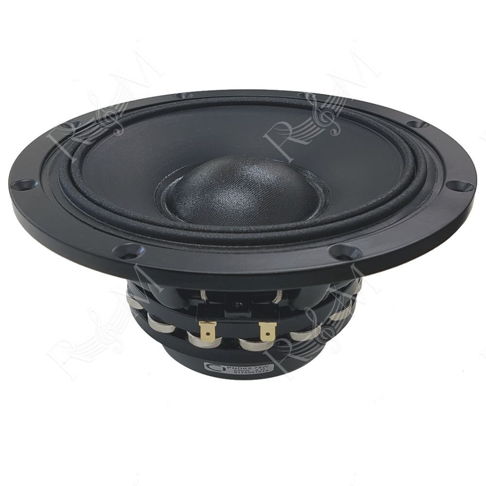 Ciare NDK8.75W 8 Ω - Woofer Professionale 8" al Neodimio 300W