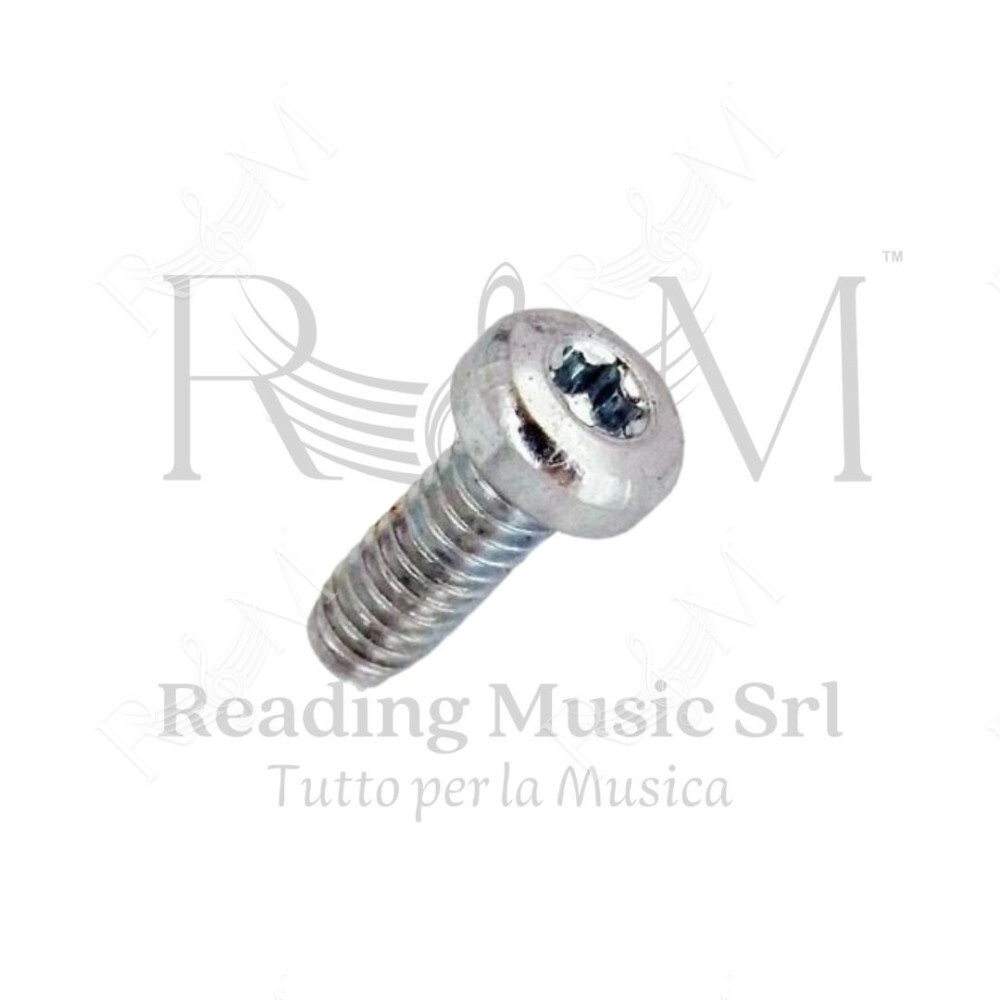 Sennheiser SD522009 Vite Scocca Chassis 2,2x6 mm SK EK G2