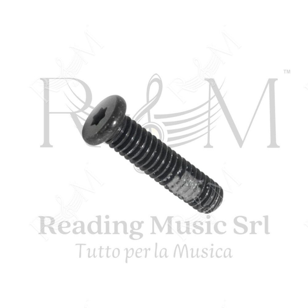 Sennheiser SD550243 Vite Chassis M2.5x10 mm SKM 100 300 500 G3