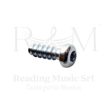 Sennheiser SD522342 Vite 2,5x8 mm per EK, SK, SKM G3