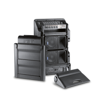 FBT AMICO 10 USB Sistema Audio Portatile con Mixer
