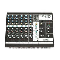 FBT AMICO 10 USB Sistema Audio Portatile con Mixer