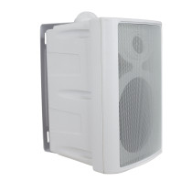 Diffusore passivo 40W