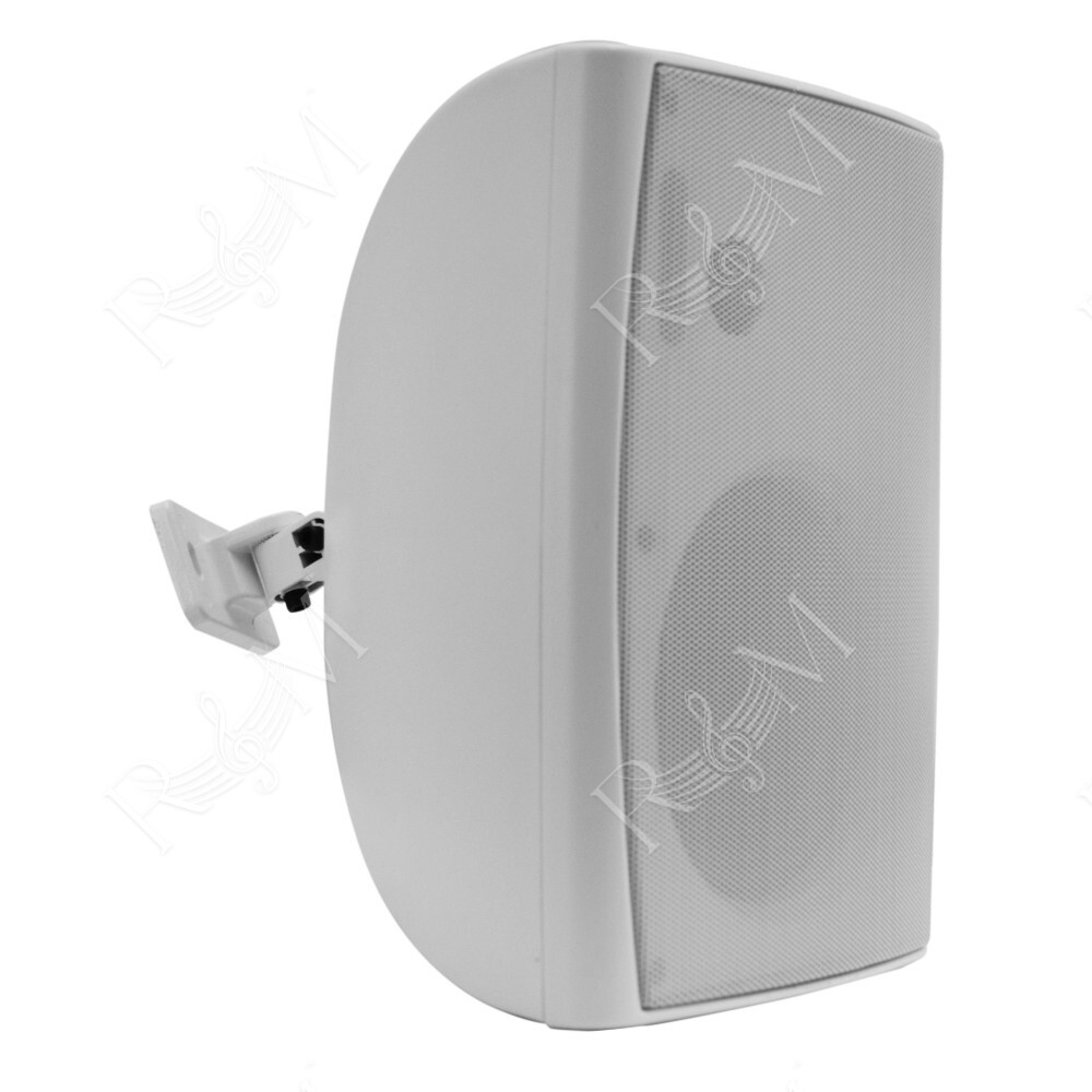 Diffusore 100V e 8 Ohm - 65W