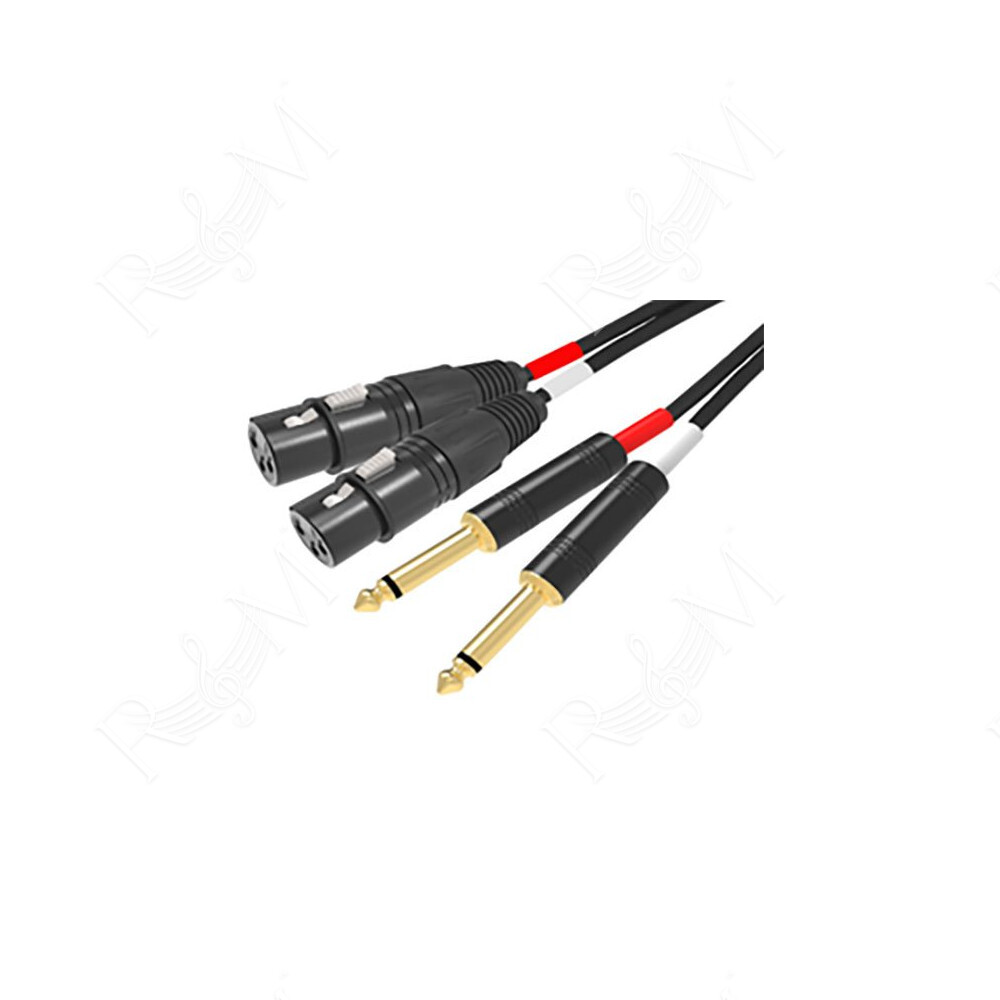 Cavo 2 x XLR F / 2 x 6,3mm - 3mt