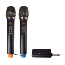 Doppio radiomicrofono karaoke