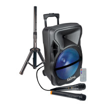 Diffusore amplificato con radiomicrofono 600W PMPO