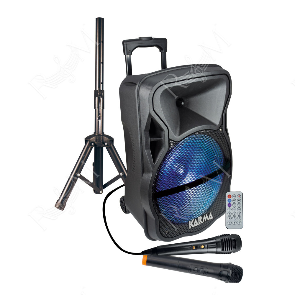 Diffusore amplificato con radiomicrofono 600W PMPO