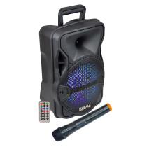 Diffusore amplificato con radiomicrofono 300W PMPO