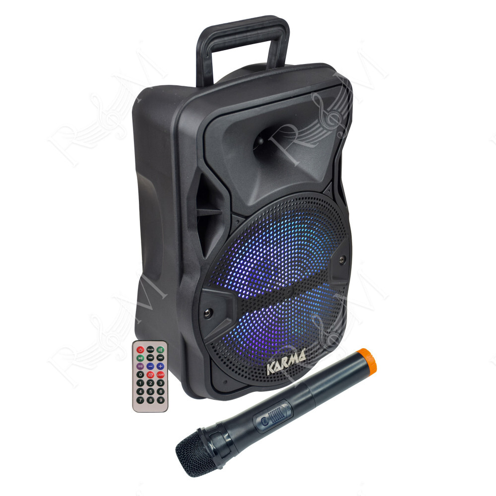 Diffusore amplificato con radiomicrofono 300W PMPO
