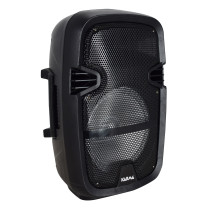 Box wireless trasmittente 80W