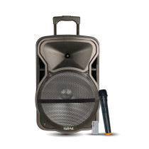Diffusore amplificato con radiomicrofono 600W PMPO