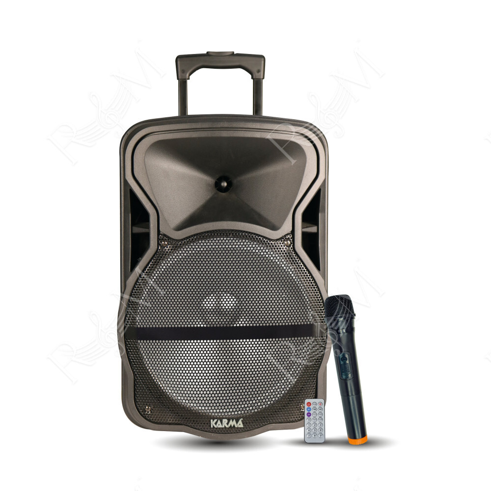 Diffusore amplificato con radiomicrofono 600W PMPO