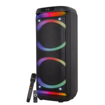 Diffusore amplificato con radiomicrofono