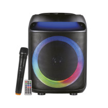 Diffusore amplificato con radiomicrofono