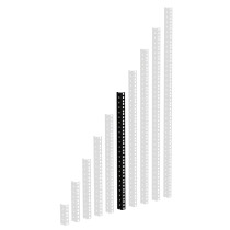 Adam Hall 19" Parts RACK RAIL 12 BLACK