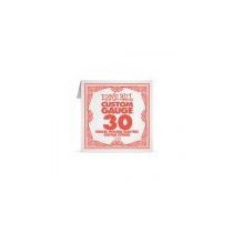 P01130 ERNIE BALL