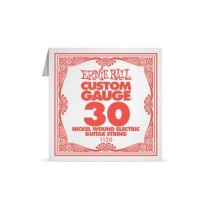 P01130 ERNIE BALL