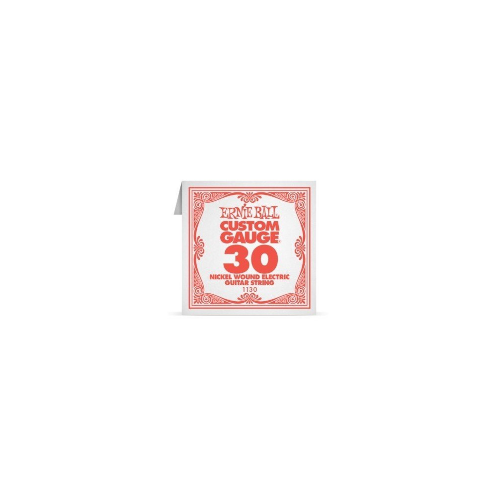 P01130 ERNIE BALL