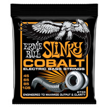 P02733 ERNIE BALL
