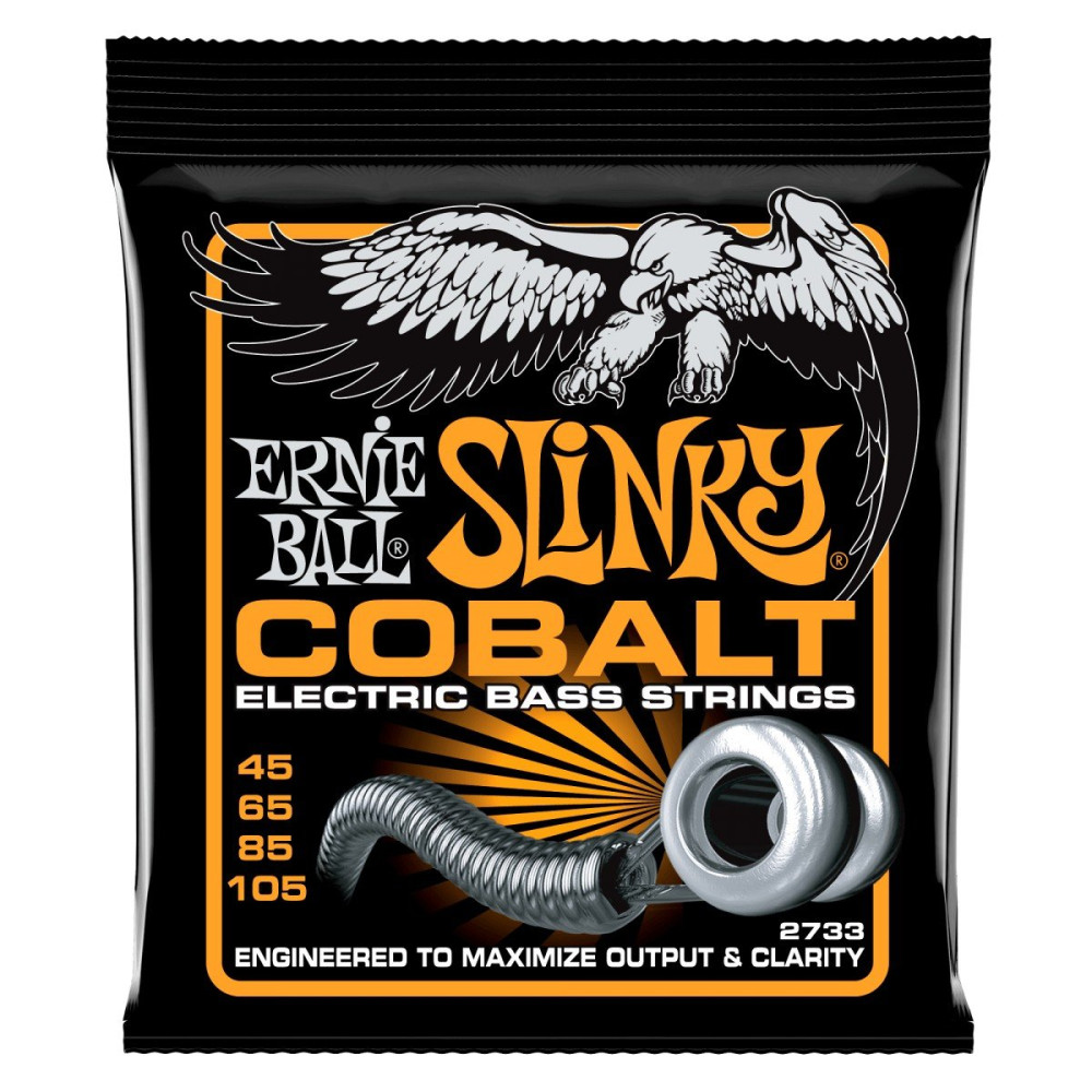 P02733 ERNIE BALL