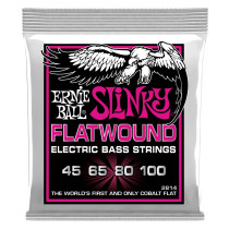 P02814 ERNIE BALL