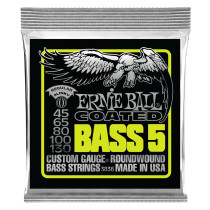 P03836 ERNIE BALL