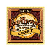 P02004 ERNIE BALL