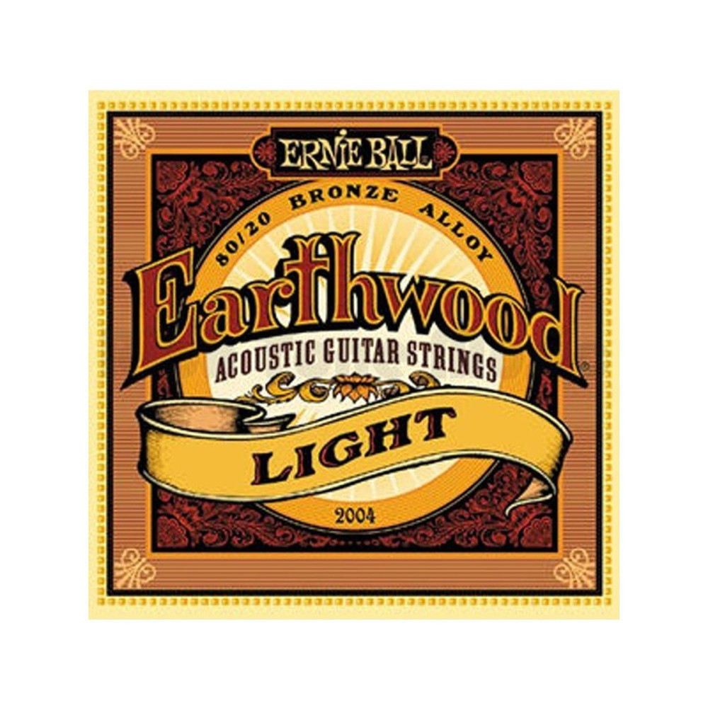 P02004 ERNIE BALL