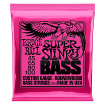 P02834 ERNIE BALL