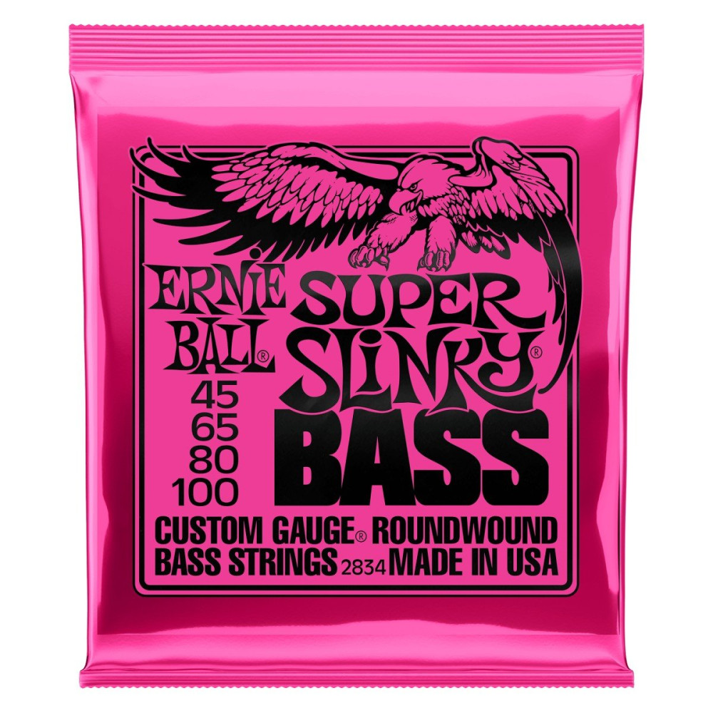 P02834 ERNIE BALL
