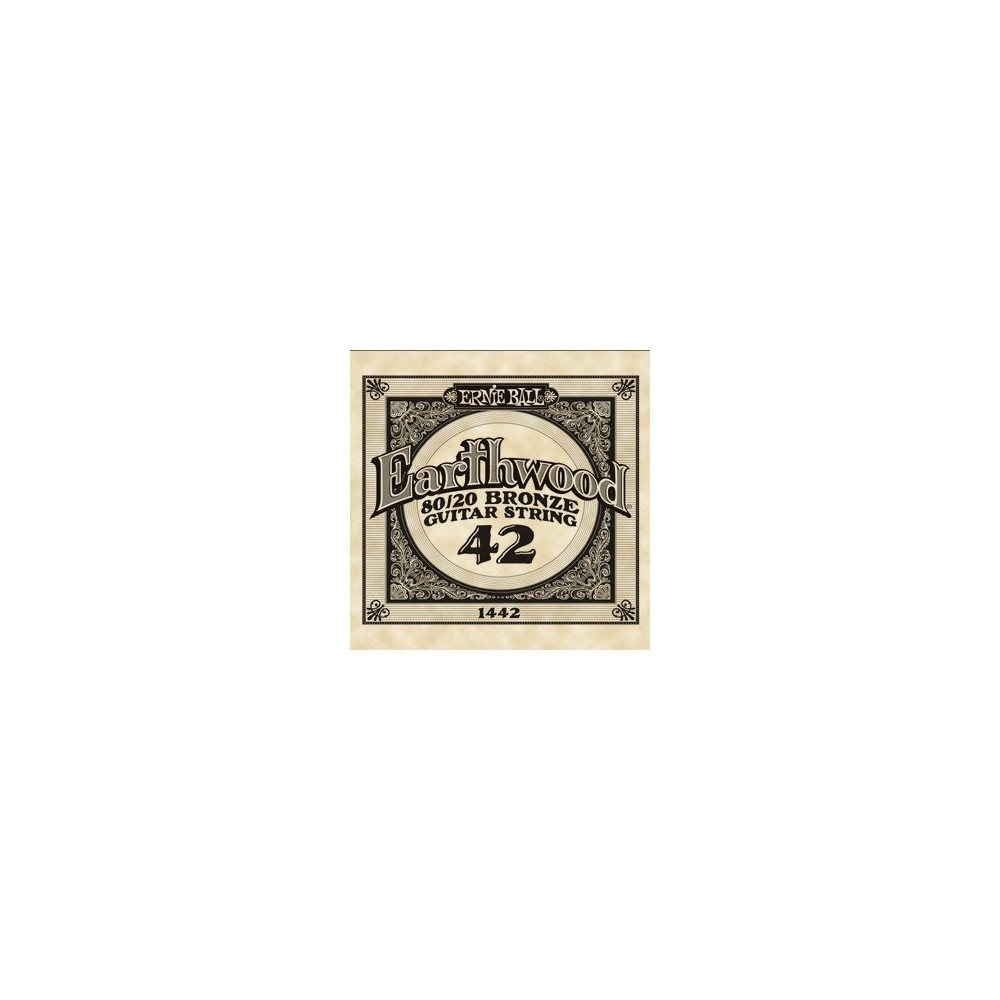 P01442 ERNIE BALL