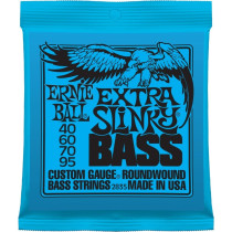 P02835 ERNIE BALL