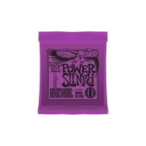 P02220 ERNIE BALL