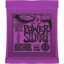 P02220 ERNIE BALL