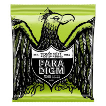 P02021 ERNIE BALL