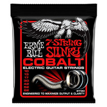 P02730 ERNIE BALL