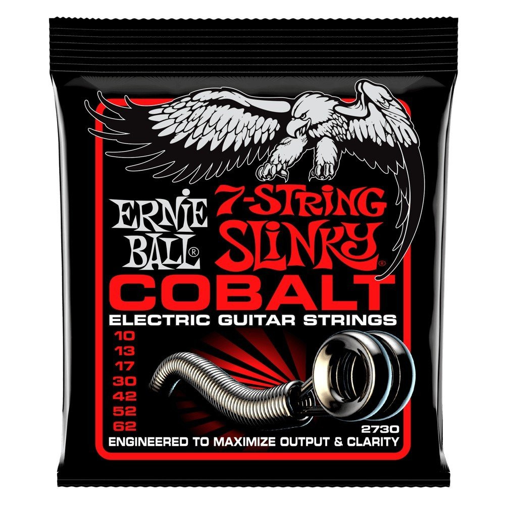 P02730 ERNIE BALL