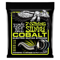 P02728 ERNIE BALL