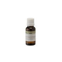 FF20ML-KIWI SOUNDSATION
